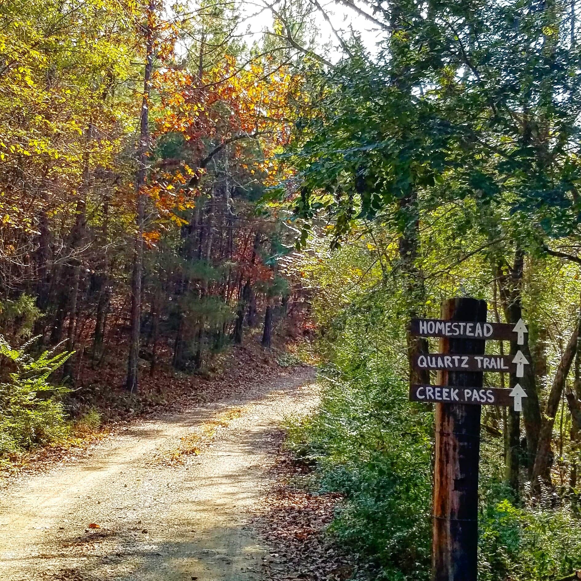 Hiking